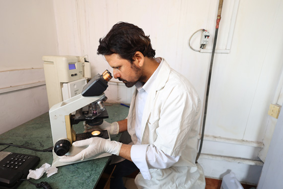 Pathology Laboratory