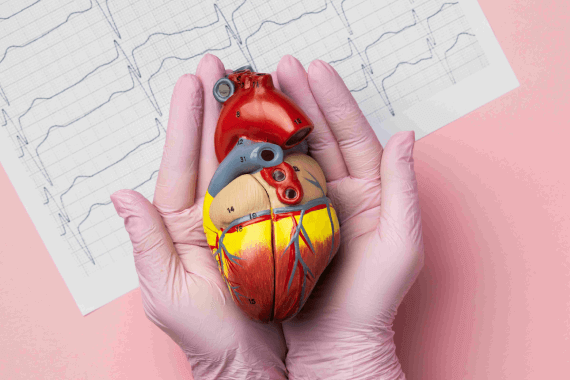 Electrophysiological Studies